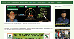 Desktop Screenshot of bazardebonsai.com